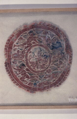 orbiculus, image 2/2