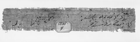 papyrus, image 2/2