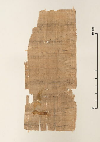 papyrus documentaire, image 2/3