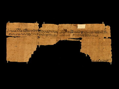 papyrus documentaire, image 4/4