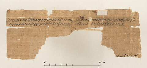 papyrus documentaire, image 2/4
