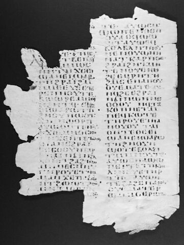 Codex YD du monastère Blanc, image 4/4