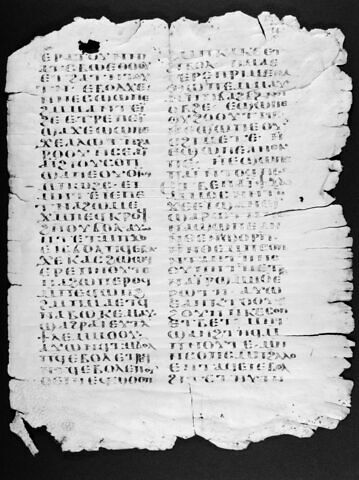 Codex YD du monastère Blanc, image 3/4