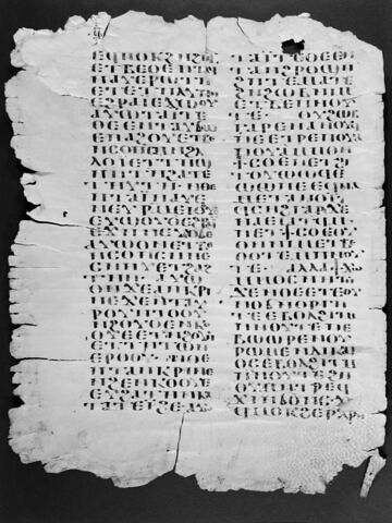 Codex YD du monastère Blanc, image 4/4