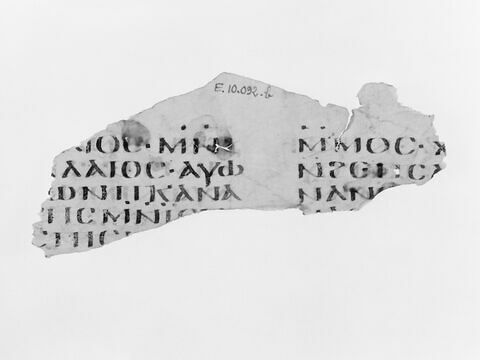 feuillet de codex ; fragment, image 5/5