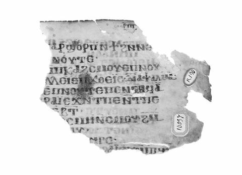 feuillet de codex ; fragment, image 4/4
