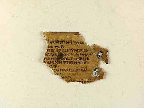 feuillet de codex ; fragment
