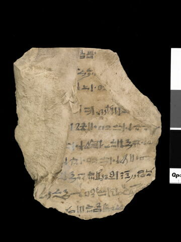 ostracon, image 4/5