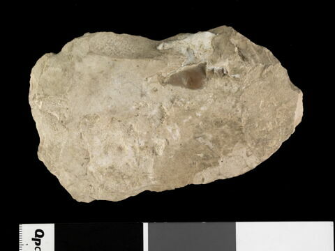 ostracon, image 2/2