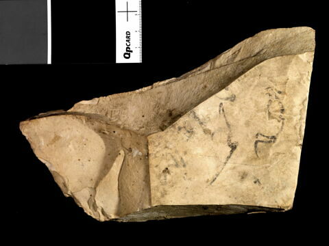 ostracon, image 2/2