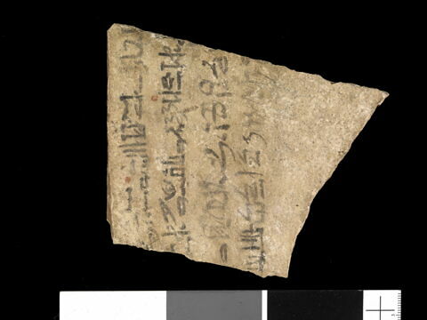 ostracon, image 2/2