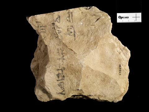 ostracon, image 4/5