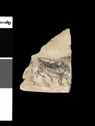 ostracon figuré