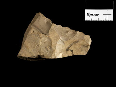 ostracon, image 2/2