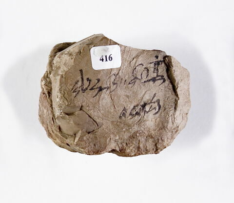 ostracon, image 2/2