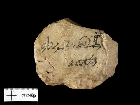 ostracon