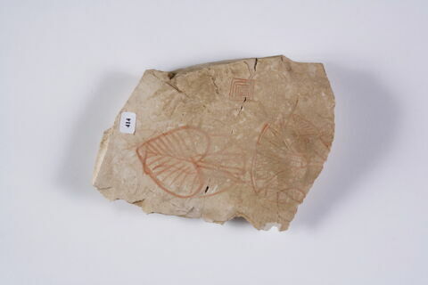 ostracon figuré, image 2/2