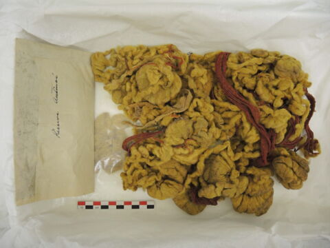 bandeau, image 2/2