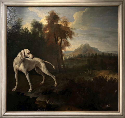 Zette, chienne de la meute de Louis XIV