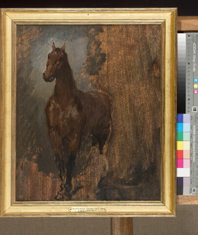 Cheval alezan de face. Étude., image 2/3
