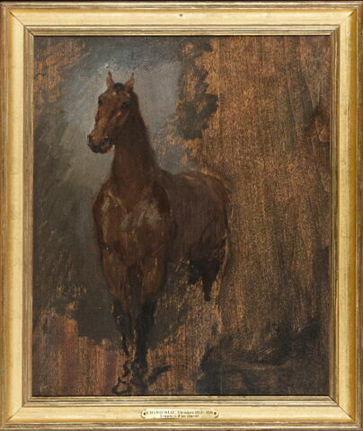 Cheval alezan de face. Étude., image 3/3