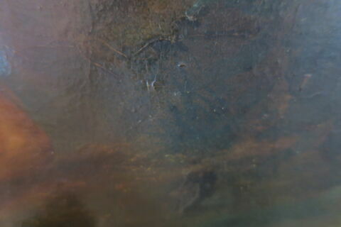 Acis et Galatée, image 3/4