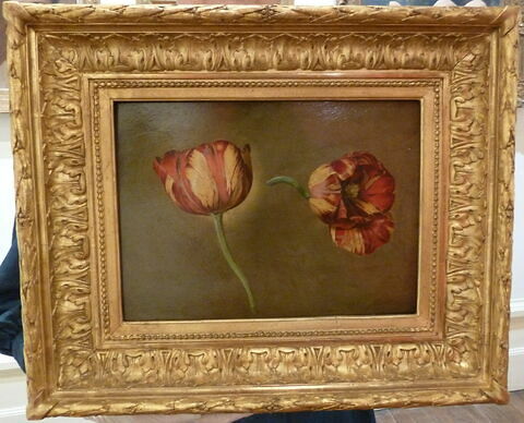 Double étude de tulipe, image 2/2