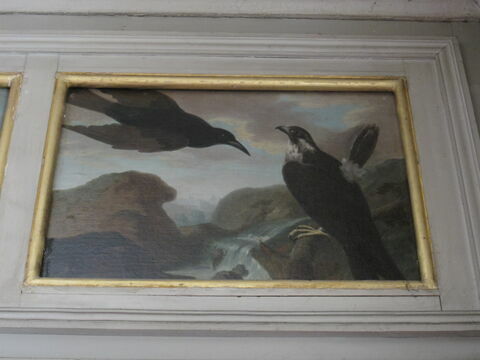 Faucon et corbeau, image 2/2