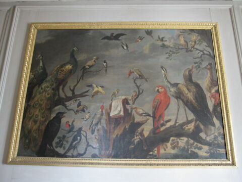 Concert d'oiseaux, image 6/7