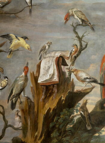 Concert d'oiseaux, image 3/7