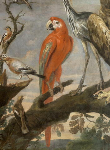 Concert d'oiseaux, image 4/7