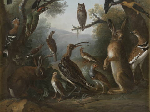 Oiseaux et deux lièvres, image 4/5