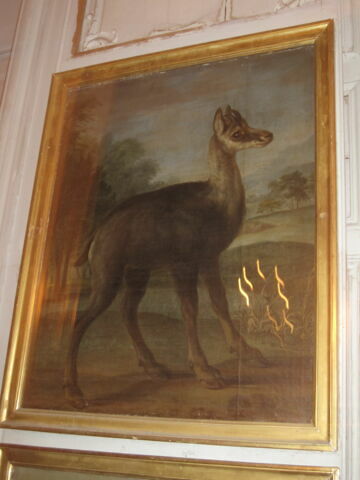 Jeune chevreuil dans un paysage, image 2/3