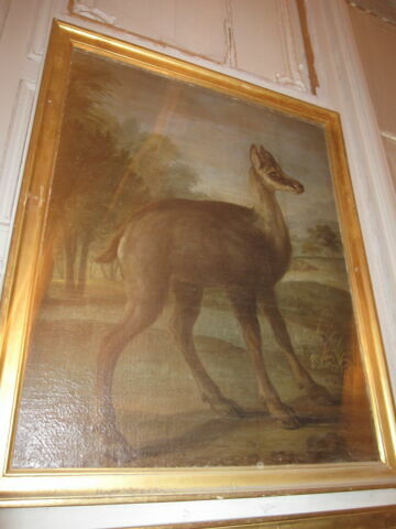 Jeune chevreuil dans un paysage, image 3/3