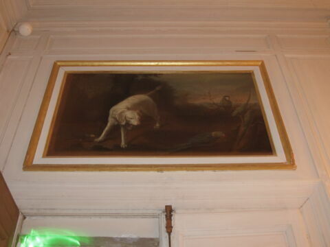Chien épagneul blanc et perroquet, image 2/2