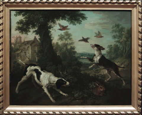 Chien chassant, image 6/6