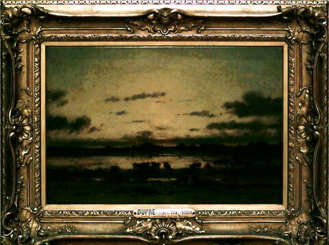 Soleil couchant sur un marais, image 2/2