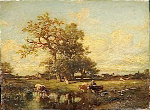 Vaches au bord de l'eau, image 3/3