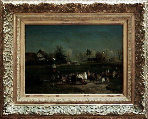 La provende des poules, image 2/2