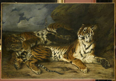 Jeune Tigre jouant avec sa mère, dit aussi Étude de deux tigres, image 1/4