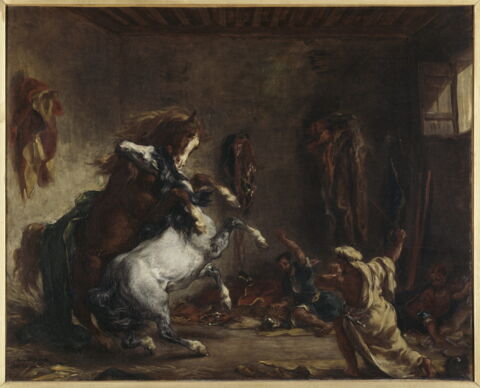 Chevaux arabes se battant dans une écurie, image 2/2