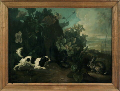 Deux chiens et un lapin., image 2/2