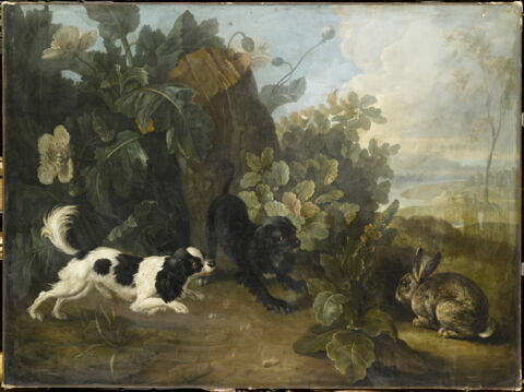 Deux chiens et un lapin.