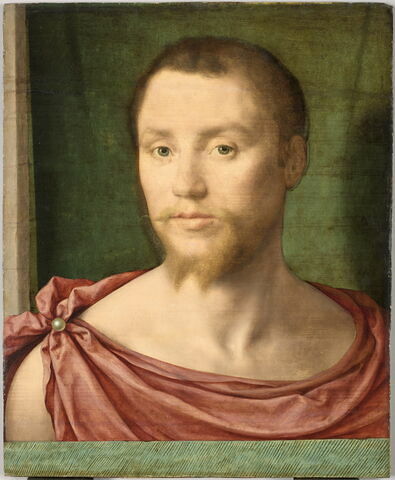 Portrait d'homme à l'antique, dit autrefois Portrait d'un Dinteville. Fragment?, image 1/3