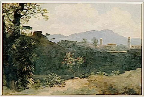 À la villa Farnèse: l'arbre rose, image 4/4