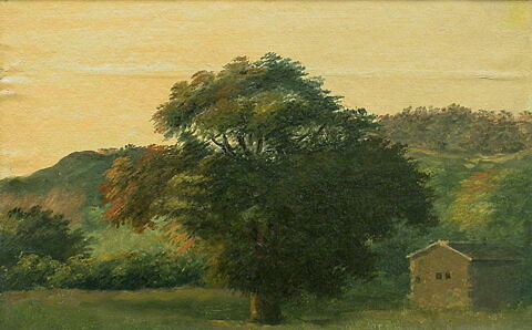 À Rocca di Papa: le grand arbre, image 2/2