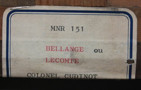 Revue militaire au Champ-de-Mars sous la Restauration, image 12/14