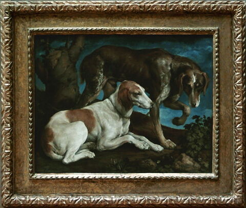 Deux chiens de chasse liés à une souche, image 2/2