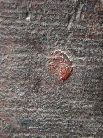 L'Alchimiste, image 4/18