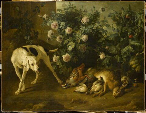 Chien gardant du gibier auprès d'un buisson de roses.